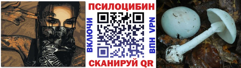 blacksprut зеркало Карасук Псилоцибиновые грибы мицелий
